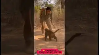 Monkey Vs Tiger in the wild 🫣  (ai generated) #wildboard  #animals  #shortsviral #wildlife #lion