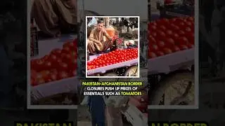 Why Are Tomato Prices So High? The Real Reasons Behind the Surge | Geo News English
