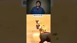 I Tried Not to Laugh&hellip; FAILED 🤣 | Meme Reaction