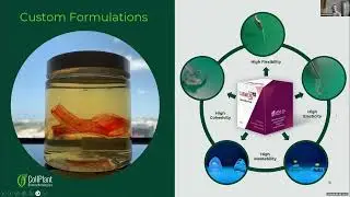 #Collagen #Breakthrough: Revolutionary Tissue #Engineering Explained!