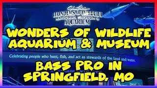 Wonders of Wildlife National Museum at Bass Pro- Springfield Missouri- Sir Willow's Park Tales Ep 54
