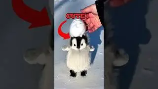 This Baby Animal Ranking Is Too Cute To Handle
