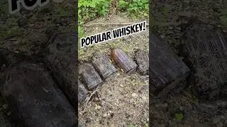 Unearthed a Cache of OLD Bottles! #shorts #bottledigging #metaldetecting #treasuresearch #treasure #