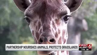 Partnership nourishes animals, protects grasslands