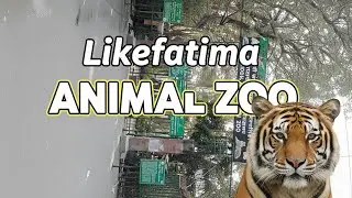 Aurangabad #animal zoo🐅🦁🐊🐂🫎 #please subscribe my channel 🙏🙏