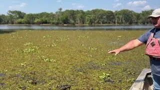 A look at this year's Henderson Lake drawdown