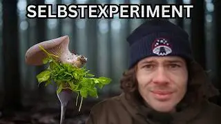 1 Tag Ernährung nur aus dem Wald (Folge 1: Januar)