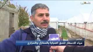 طولكرم | مياه الأمطار تلحق أضرار بالمنازل والمزارع تقرير: ايهاب الضميري