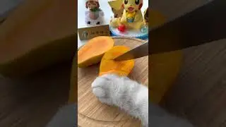 Cat Making Amazing Mango Milkshake At HOME ！#SummerDrinksRecipe #CatCookingShow #AnimalCooking