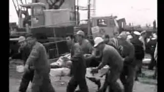 Mark Seymour - Westgate (Bridge collapse | 15 October 1970)
