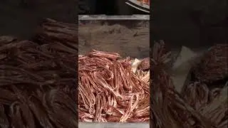 if you like scrap, go see scrapout!