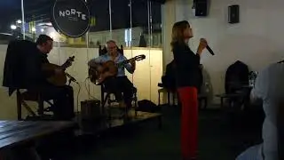 J&uacute;lia Silva Fado   Ferro de Engomar