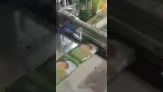 Appalam/Papad Packing Machine