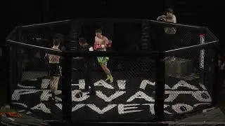 RingMania In The Cage Marco Rocca Vs Stanislav Dascanio