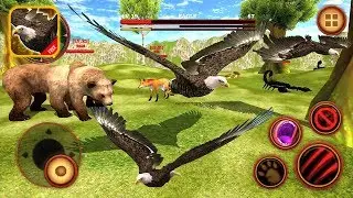 Wild Eagle Survival Simulator: War Between The Ground and The Sky - Android Gameplay