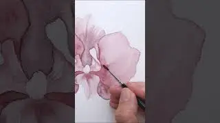 Watercolor class pink Orchid - Angele Kamp