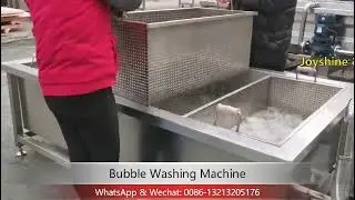 Bubble Washing Machine with Customized Washing Basket / vegetable washer / fruit washer