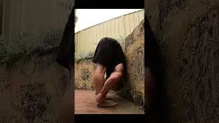 Awesome WALL Hamstring Stretch?