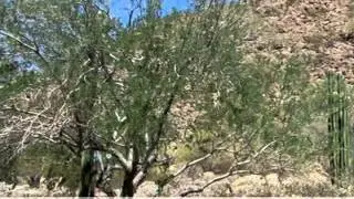 3430 N Mountain RDG 31, Mesa, AZ 85207
