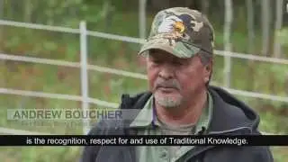 WBEA-Fort McKay Berry Focus Group Video - English Subtitles