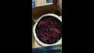 CONTI'S Bakeshop and Restaurant Blueberry Cheesecake #Shorts