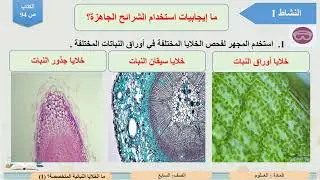 الصف السابع   العلوم   ما الخلايا النباتية المتخصصة؟ 1