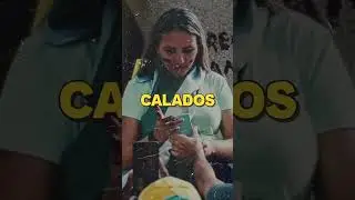 Guilherme Boulos como ministro e sistema o apoia #not&iacute;cia #lula #curtas
