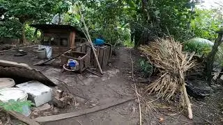 Amazing Sound Raw Footage GoPro Hero 8 + RODE Video Micro + Ulanzi Metal Cage