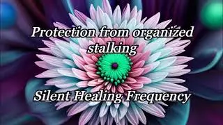Protection from organized stalking   Silent Healing Frequency