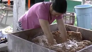 SAN AGUSTIN, HUILA, COLOMBIA, VEREDA SANTA MONICA, PROCESO DE LA ACHIRA