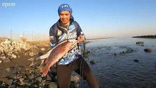 Have a Break ! | Fishing Time | Harvest Barracuda | Red Snapper