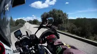 Vistazo r&aacute;pido a los Tomillares en primavera