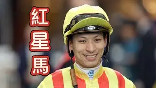 1月11日 第九場 紅星馬 奔放