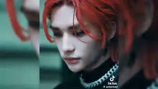 TIKTOKS DE HYUNJIN SKZ
