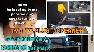 TV MONITOR + TV PLUS + SPEAKER connection
