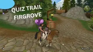 star stable/QUIZ TRAIL FIRGROVE