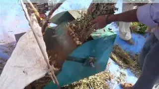 Ground nut thresher