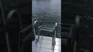 Tyler Marine Aluminum Swivel Dock Ladder
