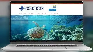Poseidon Cruises Website Design | Boutique Reef Tour Operator Website Portfolio