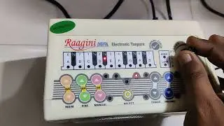 Raagini  ka Electric Tanpura 2023#vrindavan #musical #raagni#riyaz#instrumental #viral#music