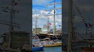 Stunning Tall Ships At Sail Amsterdam 2025 ✨ #sailamsterdam2025 #travelshorts #sail2025