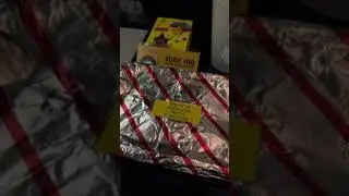 SIN to NRT Scoot Airline Scoot Plus/Premium Economy