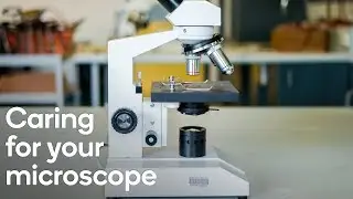 Caring for your microscope