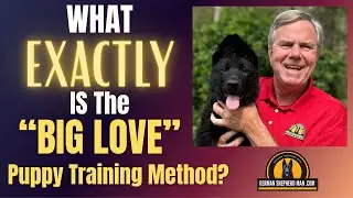 The German Shepherd Puppy Training Method Sweeping the Nation