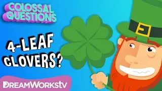 Are 4-Leaf Clovers &ldquo;Lucky?&rdquo; | COLOSSAL QUESTIONS
