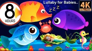 Overcome Insomnia Fast 🌙 Baby Sleep Music | Mozart & Brahms Lullabies 🎵 3 Minute Sleep Trick #356