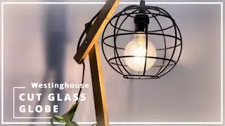 Westinghouse Cut Glass LED Globe Light Bulb | LightBulbs.com Showcase