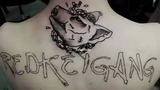 BLEEDAT 🐽