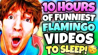 *10 HOURS* OF &ldquo;FUNNIEST&rdquo; FLAMINGO VIDEOS! (ROBLOX/MARATHON)