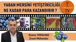 Yaban Mersini Yetiştiriciliği Ne Kadar Para Kazandırır?